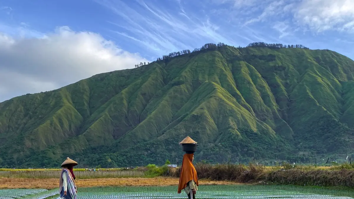PENOPANG UTAMA: Lahan pertanian di Sembalun Lombok Timur. Sektor pertanian dan smelter menjadi penopang utama pertumbuhan ekonomi NTB di triwulan I 2026. (Ivan/Lombok Post)