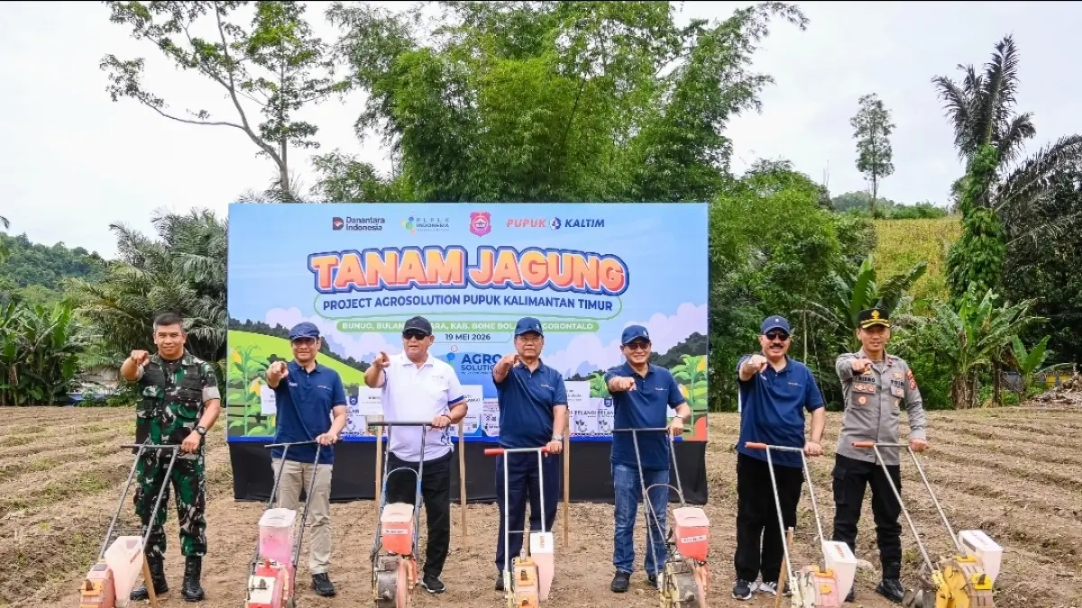 Program Tanam Jagung Project Agrosolution yang dilaksanakan di Desa Bunuo, Kecamatan Bulango Utara, Kabupaten Bone Bolango, Gorontalo, Selasa (19/5/2026).