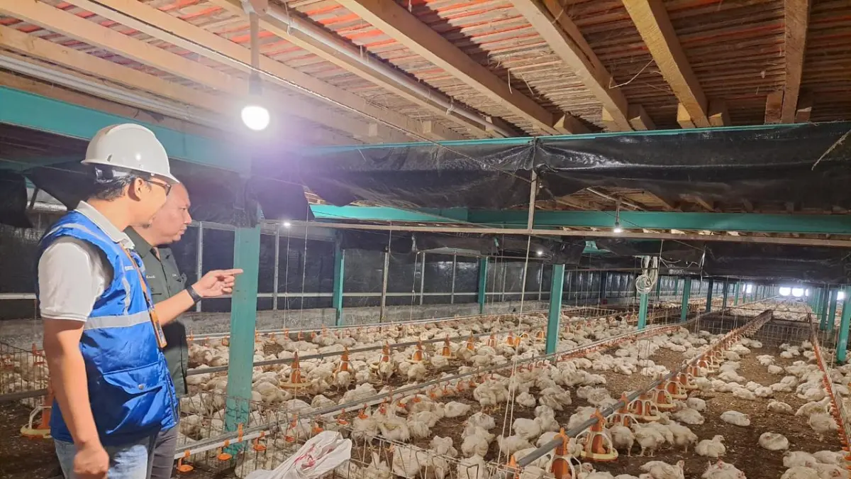 Beroperasinya PLTMG Sumbawa 2 berkapasitas 30 MW diproyeksi mampu mendorong pertumbuhan ekonomi Pulau Sumbawa.