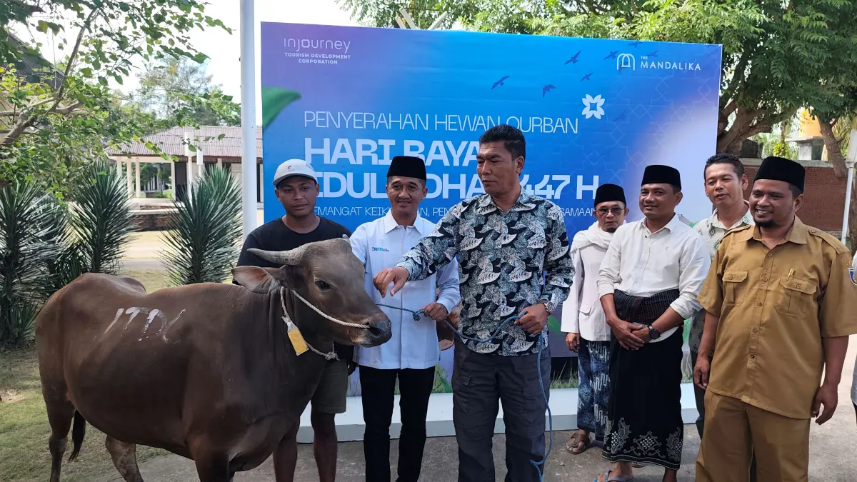 GM The Mandalika Pari Wijaya (dua kiri) didampingi Staf Ahli Bupati Lalu Sungkul (tengah) menyerahkan 22 ekor hewan kurban kepada perwakilan desa-desa penyangga KEK Mandalika, di Desa Kuta, Pujut, Loteng, Senin (25/5). (Dewi/Lombok Post) 
