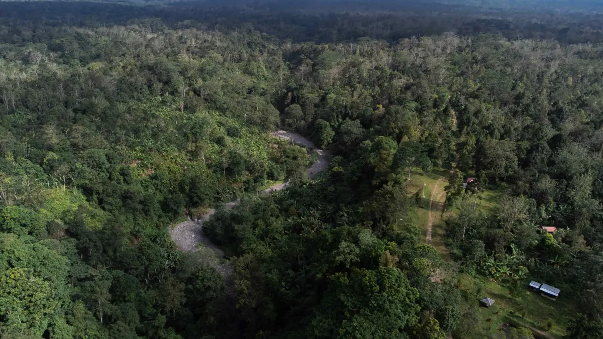 ILUSTRASI: Sejumlah kawasan hutan di NTB diusulkan mengalami perubahan fungsi dan peruntukan, sebagai bagian dari penyesuaian tata ruang daerah. (IVAN/LOMBOK POST)