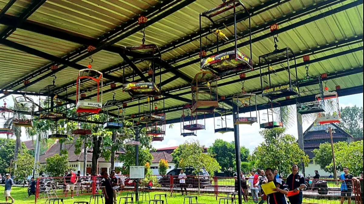 JAGA EKSISTENSI: Para pencinta Burung Kenari yang tergabung dalam Komunitas Kenari NTB saat mengikuti Lomba beberapa waktu lalu.