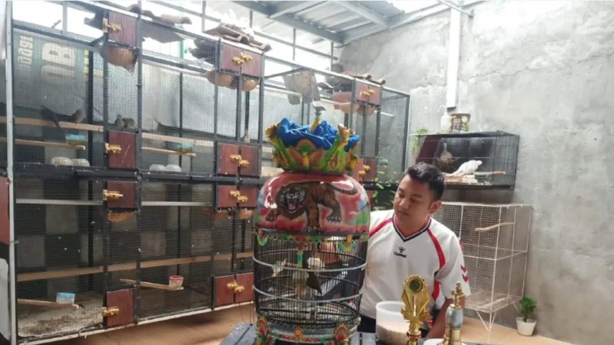 TERNAK BURUNG: Peternak burung Perkutut Syamsul Hadi melihat burung perkutut yang dipelihara di belakang lahan rumahnya. (HARLI/LOMBOK POST)