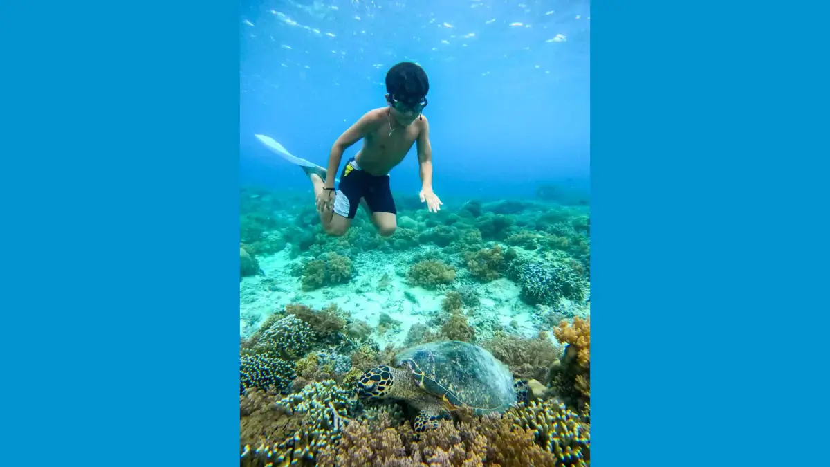 WISATA BAHARI: Wisatawan sedang menikmati sensasi menyelam bareng penyu di Meno Turtle Sanctuary. Lombok Utara. (IVAN/LOMBOK POST)
