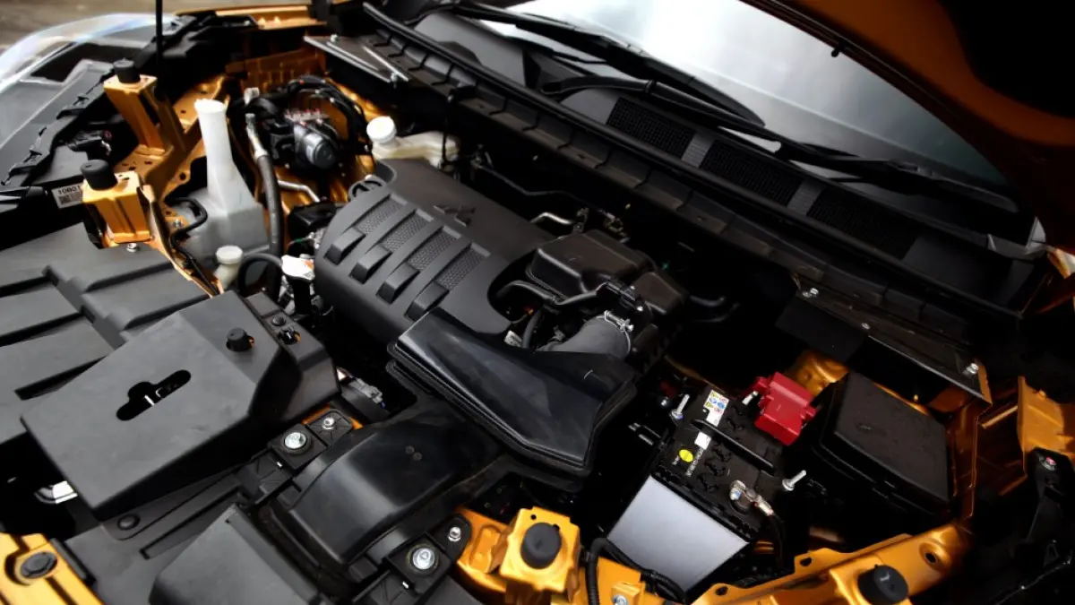 Agar ancaman terhadap hidup hewan dan kelangsungan performa kendaraan tetap prima, berikut ini adalah beberapa cara efektif mencegah hewan masuk ke ruang mesin mobil Mitsubishi Motors kesayangan. (IST)