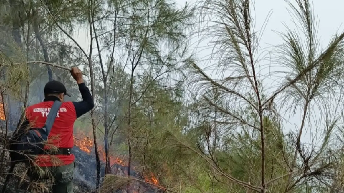 PADAMKAN: Pengelola Bukit Sempana Sembalun saat berusaha memadamkan api di Bukit Sempana