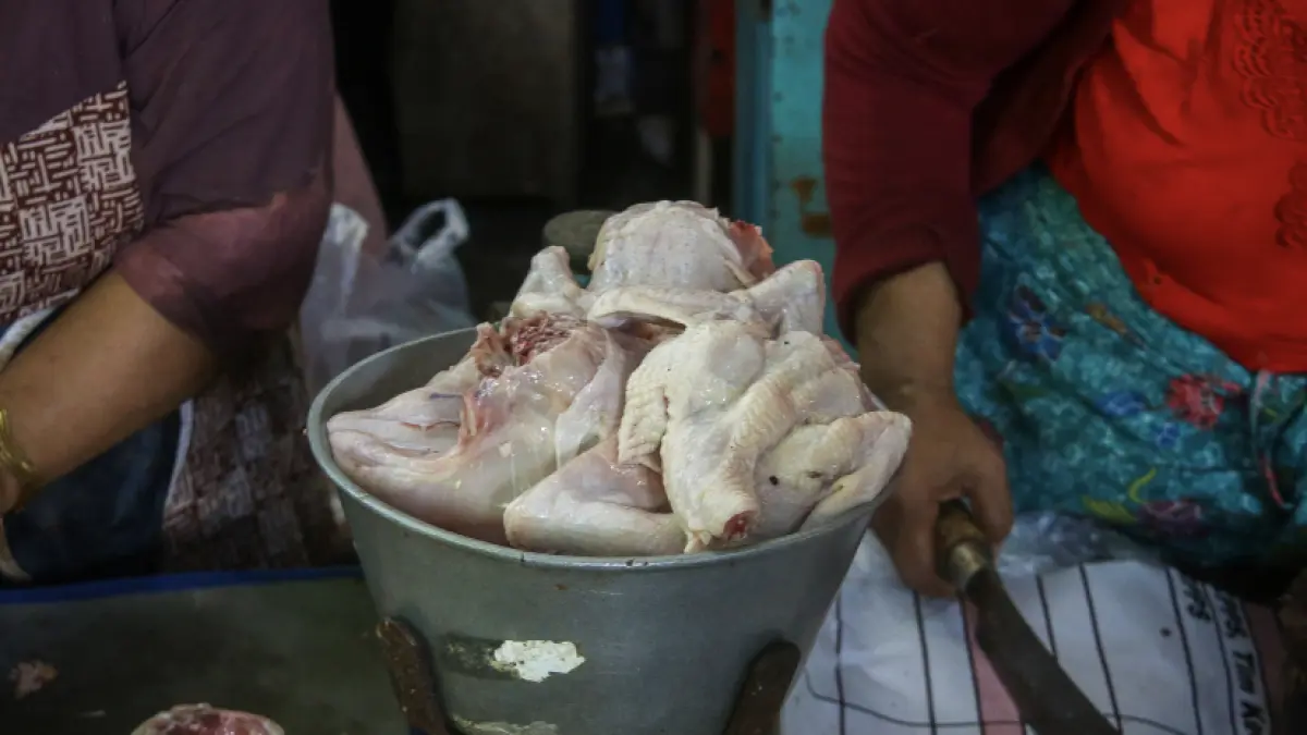 Daging ayam