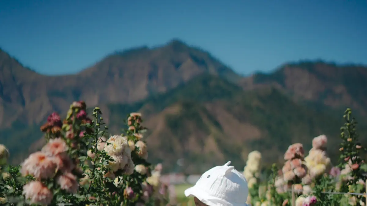 ESTETIK: Penampakan taman bunga dengan view Gunung Rinjani yang estetik di Kedai Sawah Sembalun, Lombok Timur. (IVAN/LOMBOK POST)