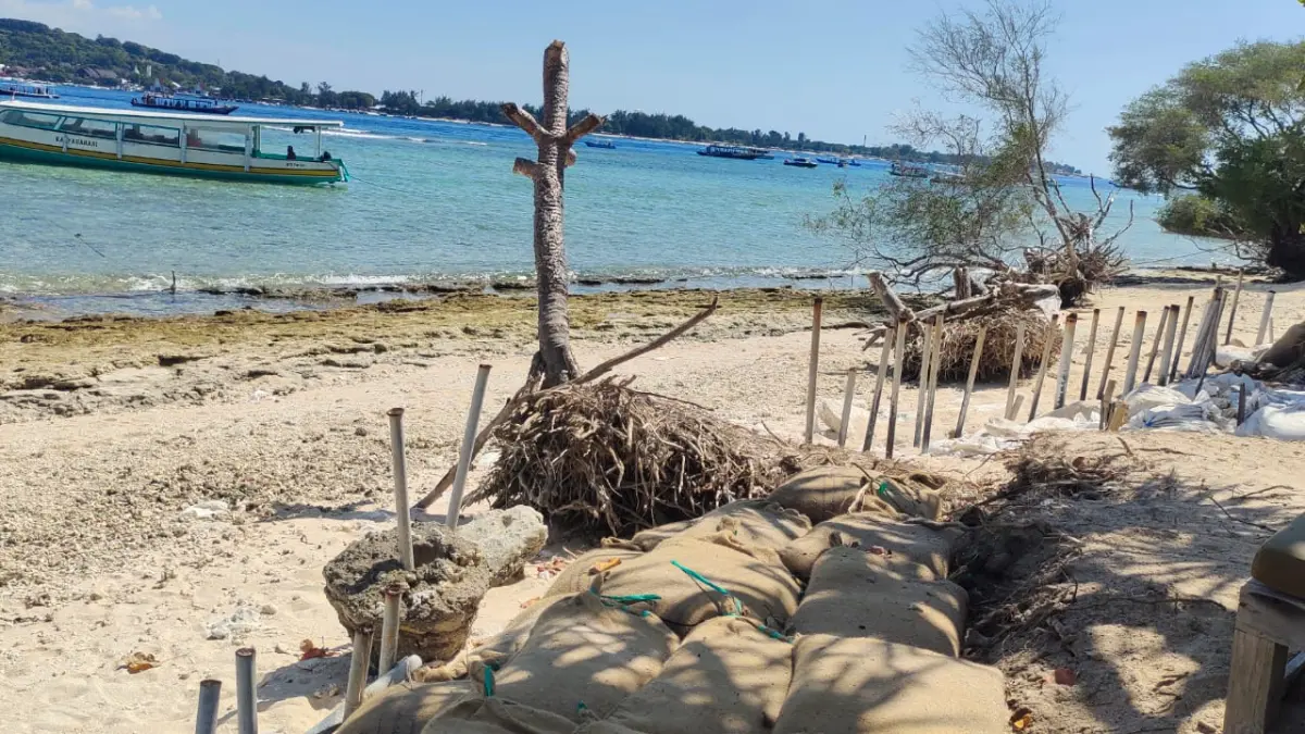 TERSISA BEBERAPA METER: Kondisi bibir pantai Gili Meno yang semakin terkikis akibat abrasi di kawasan ini.