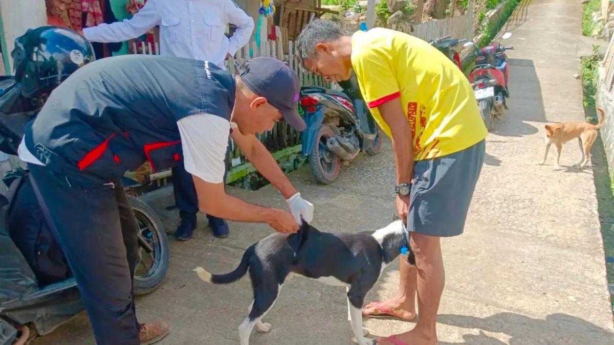 TEKAN PENYEBARAN: Petugas menyuntik vaksin rabies kepada anjing peliharaaan milik warga, di Kelurahan Lelamase di Kota Bima, beberapa waktu lalu. (DISNAKESWAN NTB FOR LOMBOK POST)