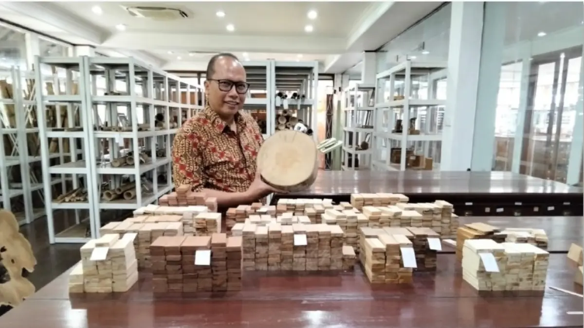 TEMPAT EDUKASI: Direktur Iuran dan Penatausahaan Hasil Hutan Kemenhut Krisdianto menunjukkan beberapa koleksi di Perpustakaan Kayu Xylarium Bogoriense di Kota Bogor, Jumat (26/6). (Hilmi Setiawan/Jawa Pos)