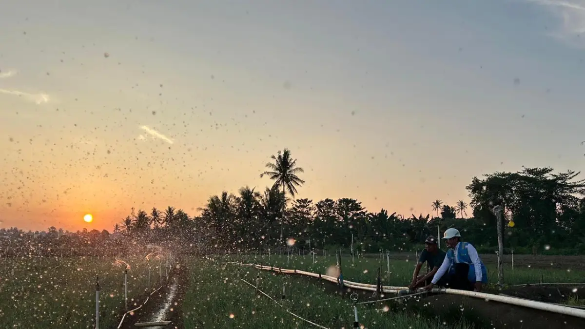 Melalui listrik PLN, produktivitas dan efisiensi para petani bawang di Desa Telle, Kabupaten Bone, Sulawesi Selatan, semakin meningkat. Kehadiran energi listrik yang andal dan terjangkau berdampak positif bagi daya beli masyarakat dan pertumbuhan ekonomi nasional.