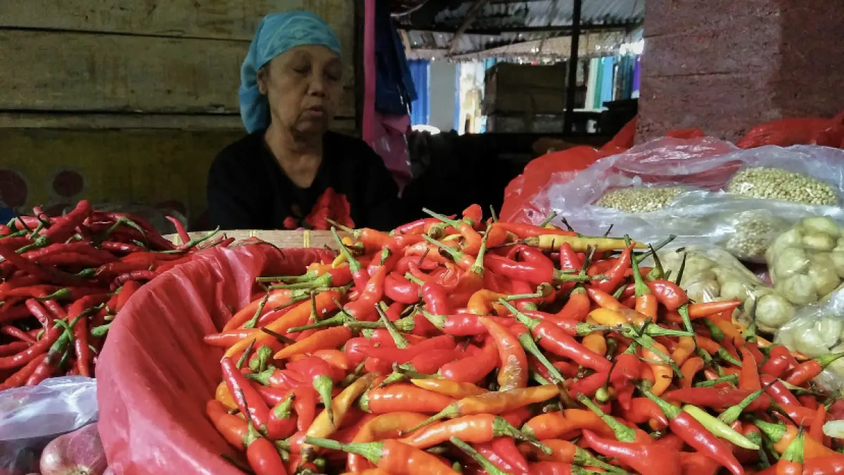 Harga cabai mulai stabil