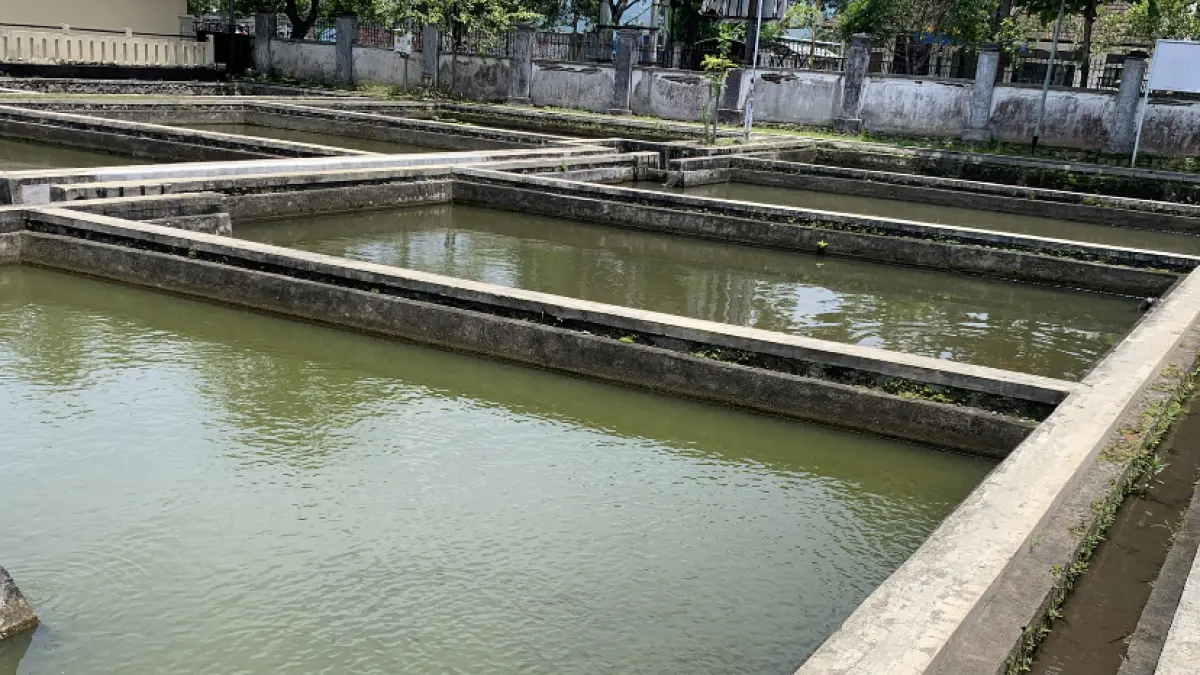 Kolam budidaya perikanan di dinas perikanan Kota Mataram 