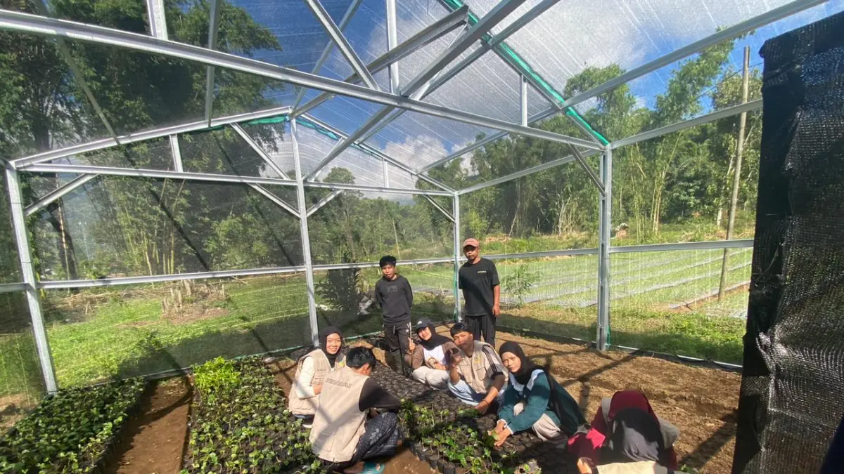 SEMAI BIBIT: Sejumlah anggota PGKGS Sembalun saat melakukan penyemaian bibit kopi di kebun bibit rakyat untuk dibagikan kepada petani secara gratis.&nbsp;