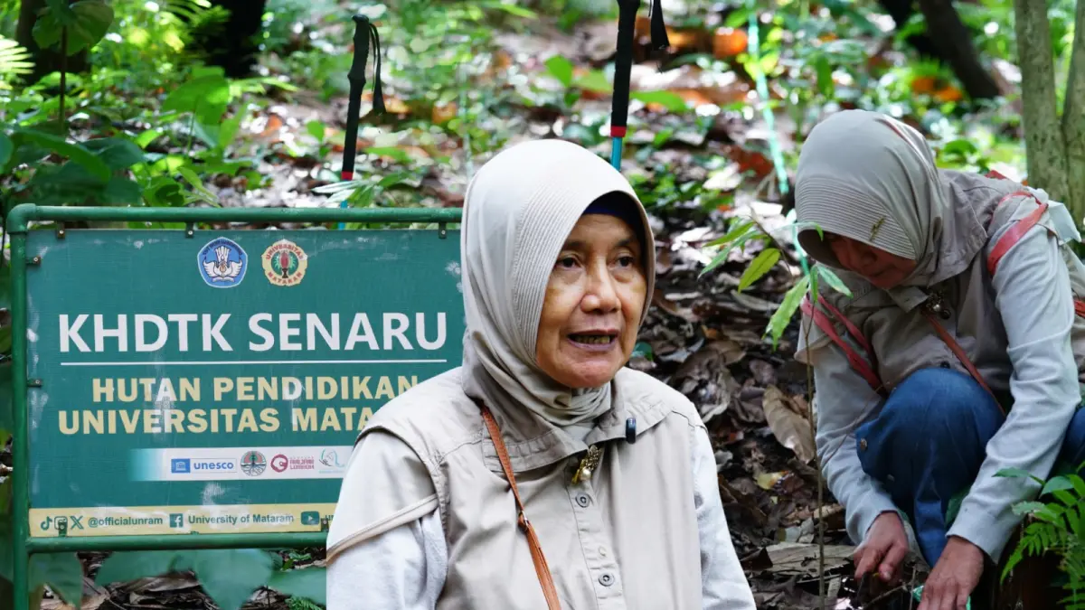RISET GAHARU: Unram membangun konservasi gaharu, pemberdayaan masyarakat, serta pendidikan lapangan yang menjadikan KHDTK Senaru sebagai laboratorium hidup.

