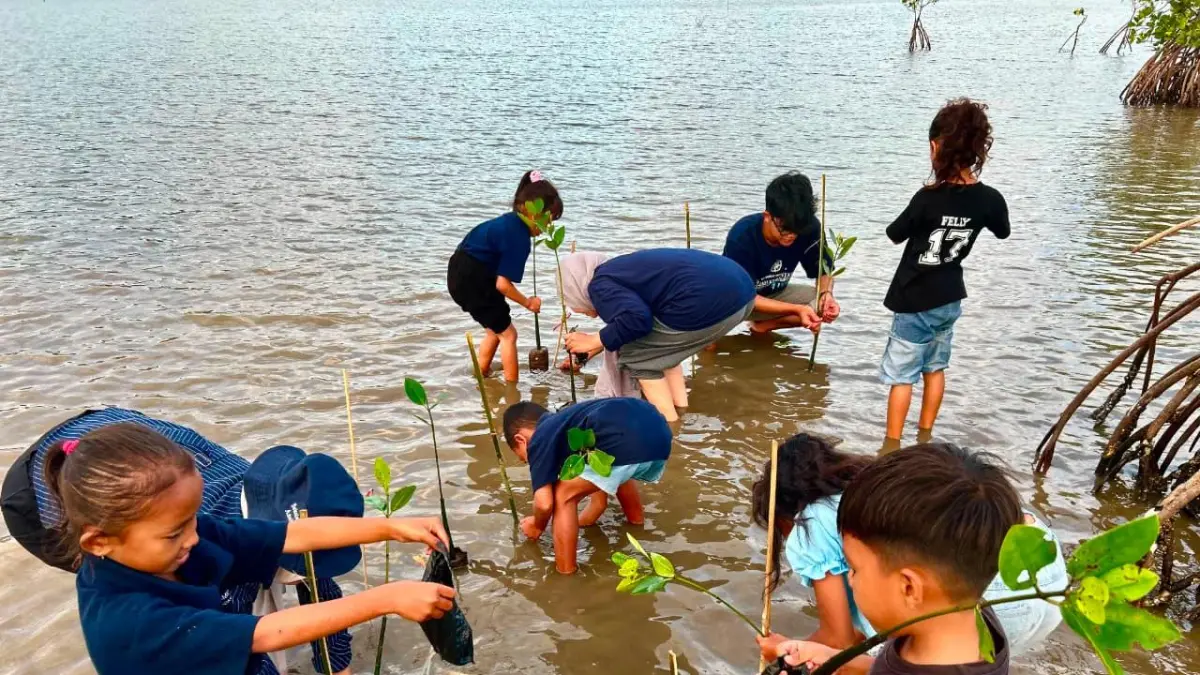 Anak-anak Sekolah Alam Anak Pesisir bersama relawan menanam bibit mangrove dalam rangkaian peringatan Hari Anak Nasional 2026 di Desa Cendi Manik.