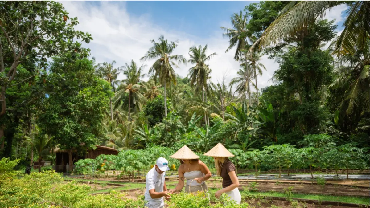 TANAMAN ORGANIK: Dua turis di kebun organik Holiday Resort Lombok, beberapa waktu lalu. (IST/LOMBOK POST)