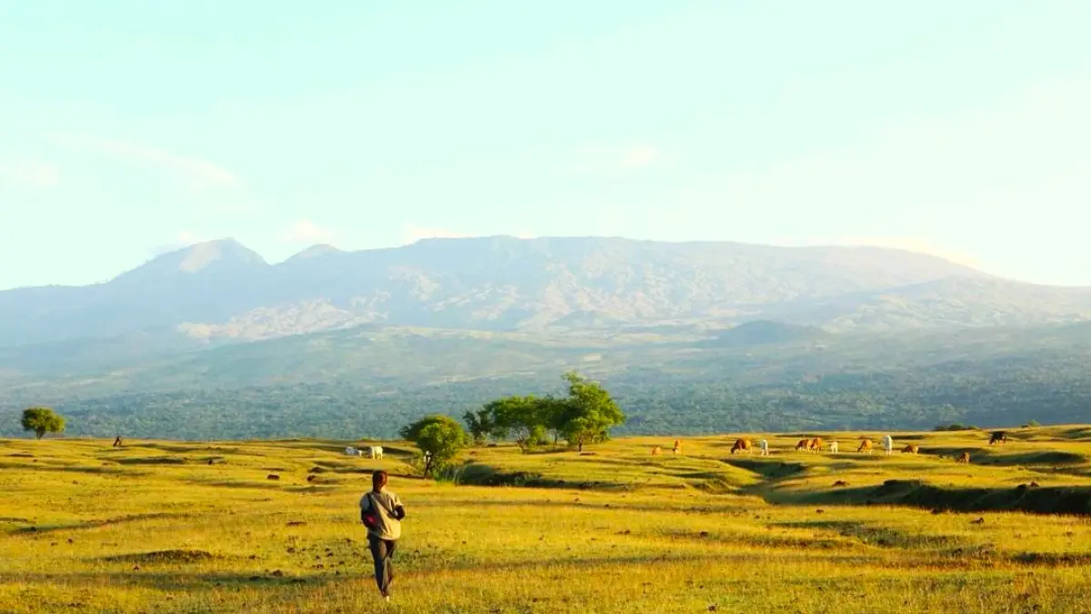 MEMUKAU: Penampakan padang savana Doro Ncanga yang disebut sebagai Afrika kecil di Kabupaten Dompu, NTB. (ISTIMEWA)