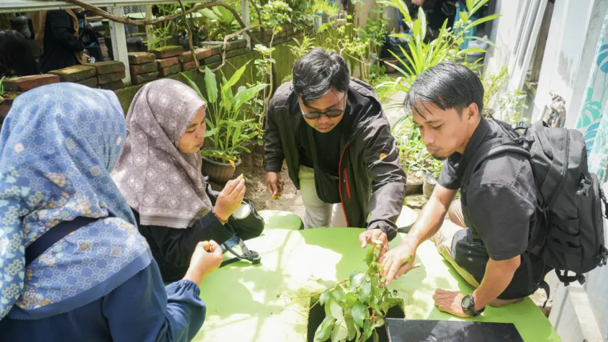 Contoh tempah dedoro di lingkungan marong karang tatah