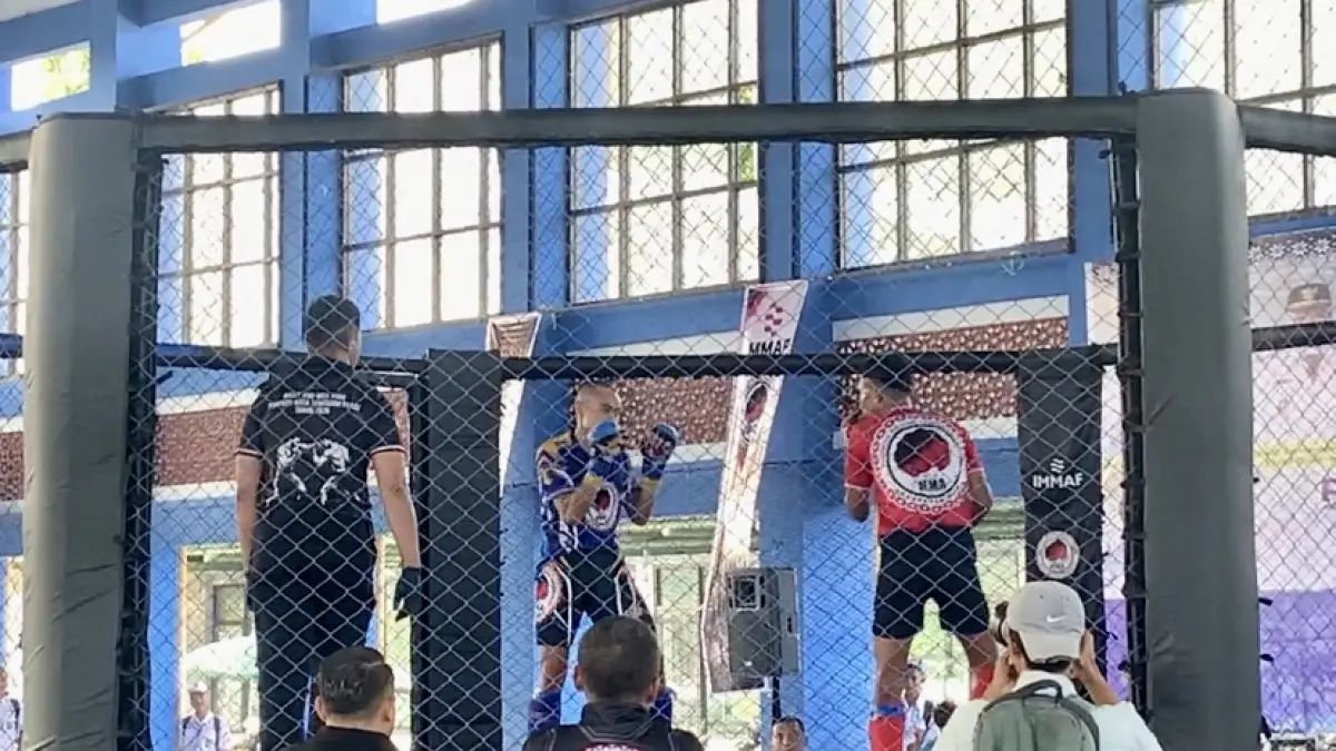 IBC MMA