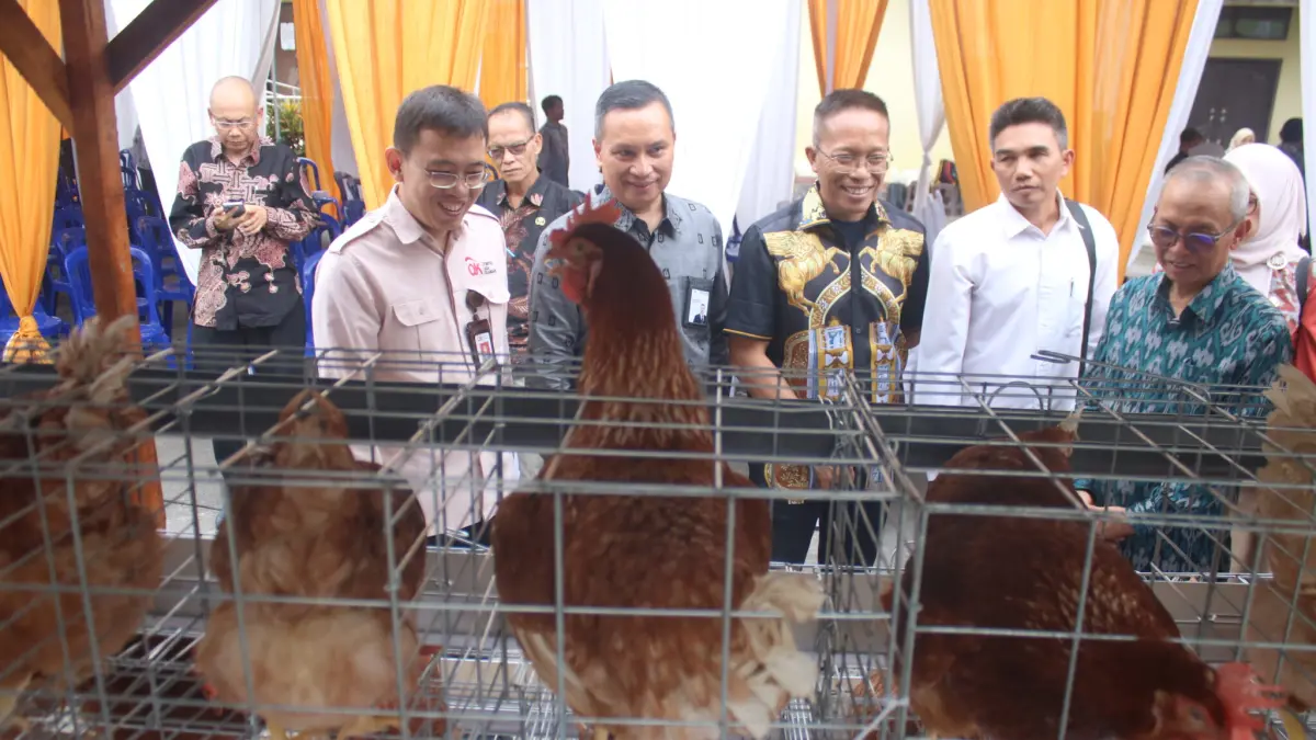 PILOTING: Kepala OJK NTB Rudi Sulistyo (kiri) meninjau ayam petelur yang dikembangkan untuk intervensi kemiskinan ekstrem saat peluncuran piloting program Desa Berdaya di Desa Lendang Nangka Utara, Kecamatan Masbagik, Lombok Timur, Kamis (30/7). (IST/LOMBOK POST)