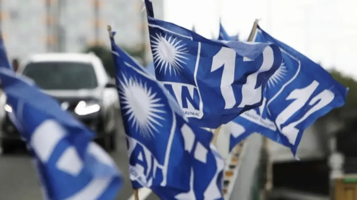 Ilustrasi bendera PAN