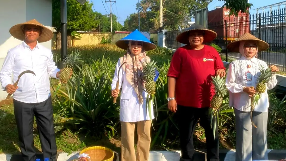 PANEN: Anggota DPR RI Lale Syifaun Nufus bersama Kepala Sentra Paramita Mataram Arif Rohman saat panen nanas madu, Jumat (31/7).