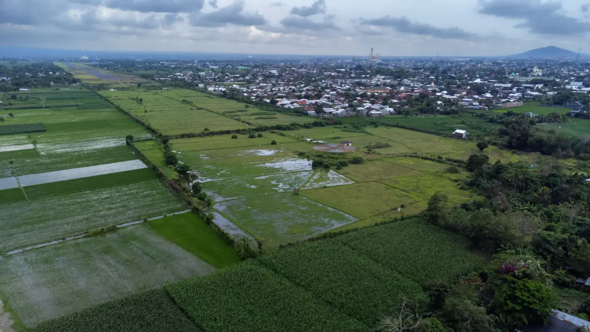 WAJIB DILINDUNGI: Hamparan sawah produktif di NTB sebagai bagian dari LP2B yang kini telah mencapai 88,01 persen dari LBS. (YUYUN/LOMBOK POST)