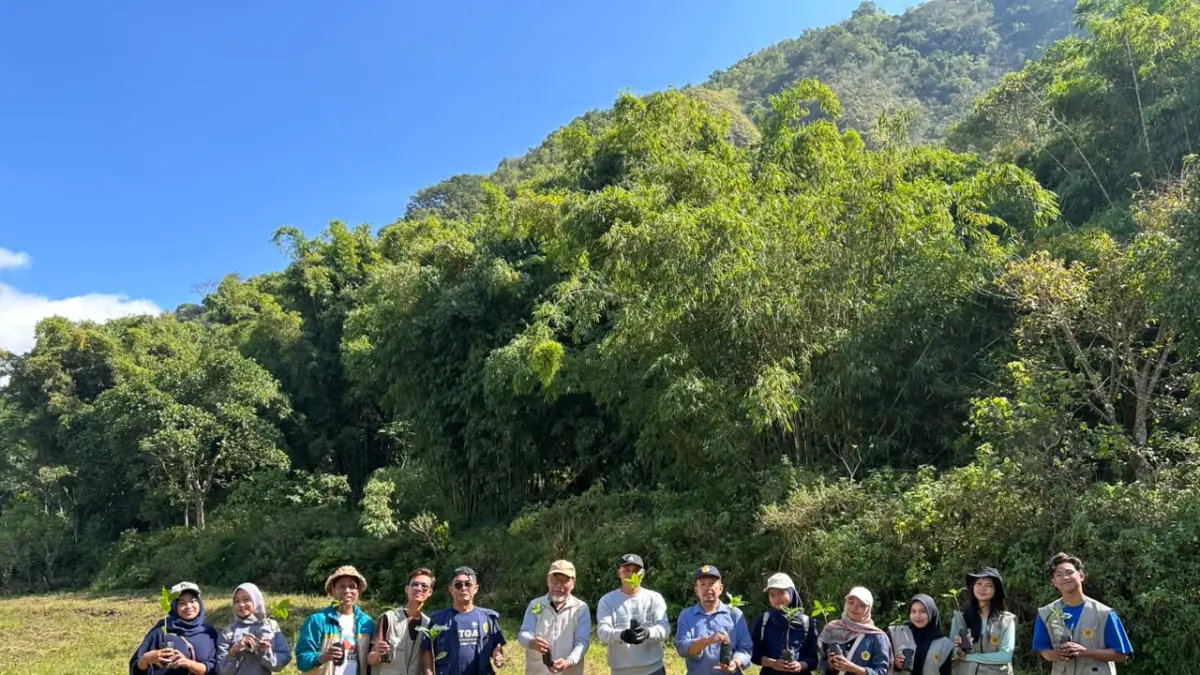TANAM BERSAMA: Sejumlah petani milenial menanam bibit kopi di Kecamatan Sembalun.&nbsp;