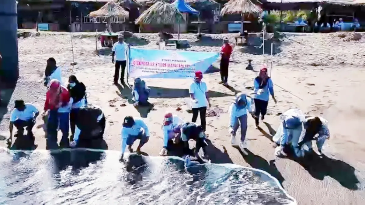 STIKES Mataram melakukan pelepasliaran anak penyu (tukik) di Pantai Viral, Lingkungan Bagek Kembar, Kota Mataram, pada Jumat (31/7/2026).