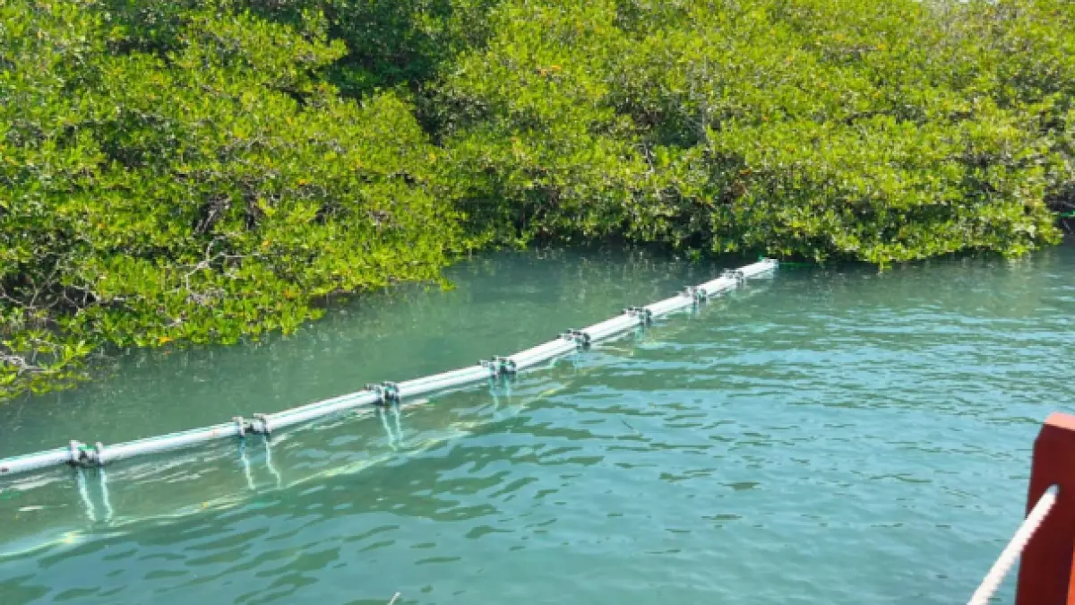 Mahasiswa KKN Universitas Mataram Desa Pare Mas 2 bersama perangkat desa dan Pokdarwis memasang Trash Boom di kawasan Ekowisata Mangrove Pare Mas, Jerowaru, Lombok Timur.