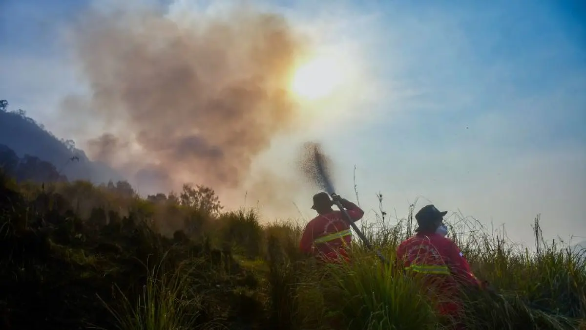 Petugas pemadam kebakaran berjibaku memadamkan api di Taman Nasional Bromo Tengger Semeru pada Rabu (5/8).