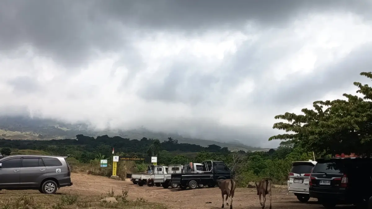 SOPIR LINGKAR RINJANI: Sejumlah mobil pikap saat menunggu pendaki turun di Pos pendakian Via Kandang sapi Desa Sajang, Kecamatan Sembalun. 