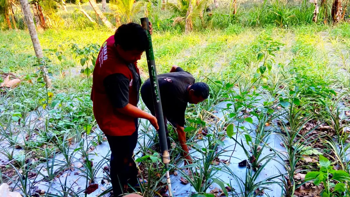 KKN UMMAT di Desa Lendang Nangka, Lombok Timur, ciptakan alat penabur pupuk.
