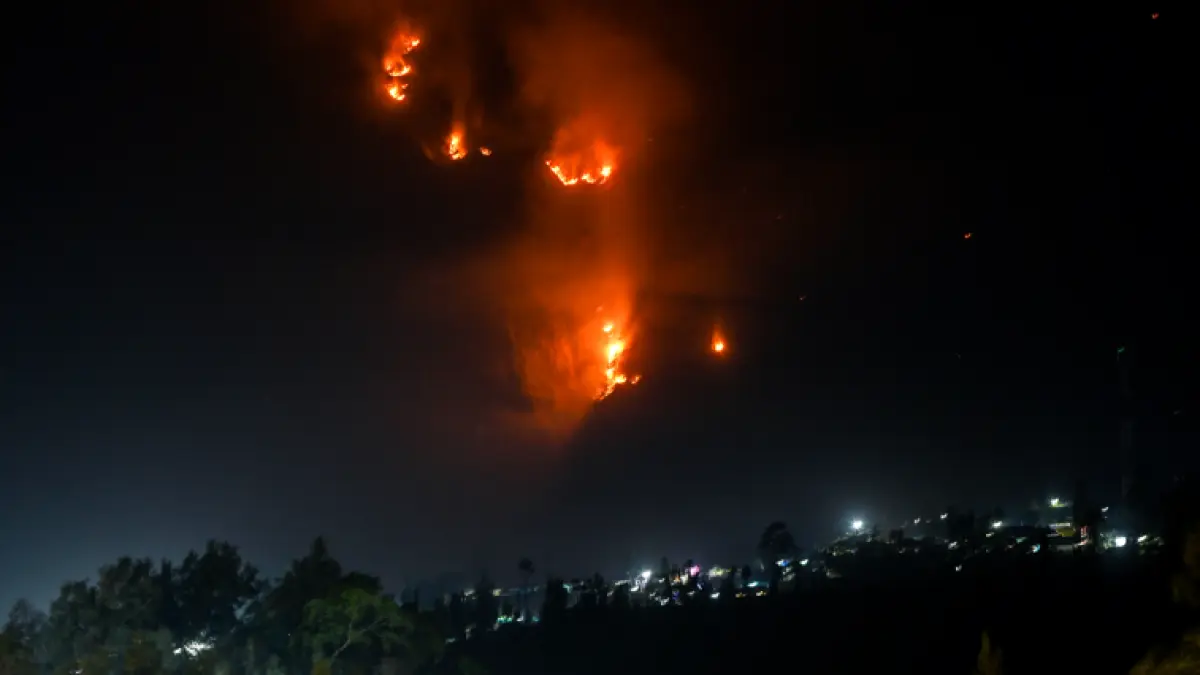 Petugas gabungan terus melakukan upaya pemadaman dan pendinginan di kawasan Gunung Bromo yang terdampak kebakaran hutan dan lahan.