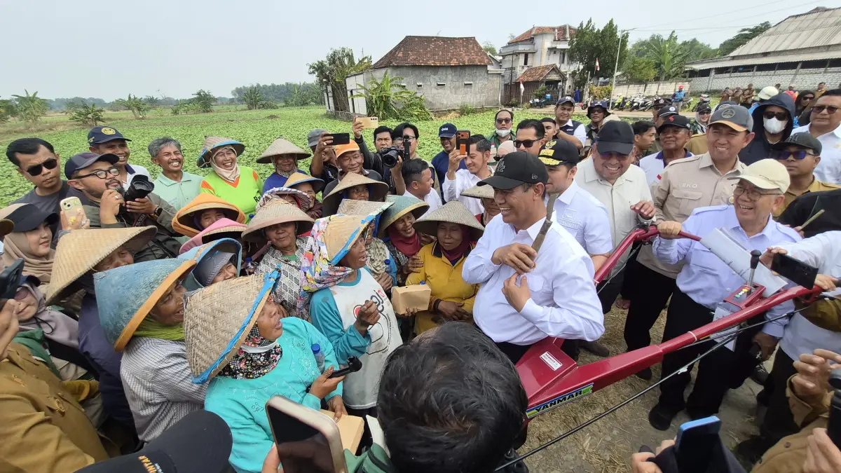 Menteri Pertanian Amran saat mengunjungi Kabupaten Gresik, Jawa Timur, Selasa (11/8). 
