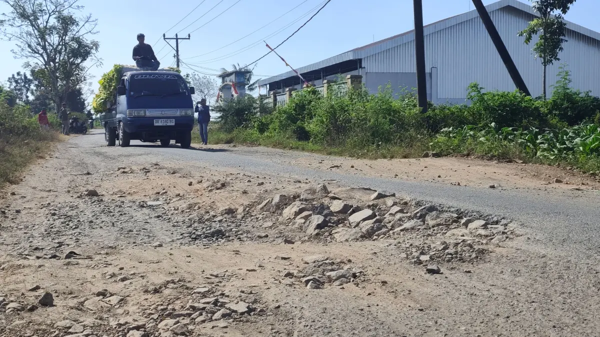BUTUH PERBAIKAN: Mobil pikap pengangkut tanaman tembakau melintasi jalan kabupaten yang rusak parah di Desa Beleke Lebe Sane, Praya Timur, Lombok Tengah, pekan lalu.