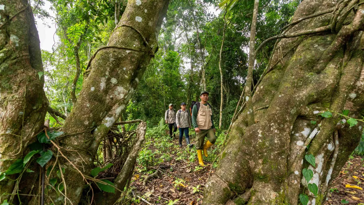 JAGA KELESTARIAN: Petugas berpatroli di kawasan hutan NTB untuk menjaga kelestarian lingkungan dan mencegah kerusakan hutan. (IVAN/LOMBOK POST)