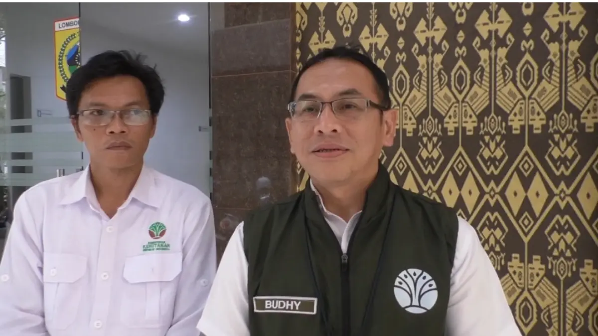 Budhy Kurniawan