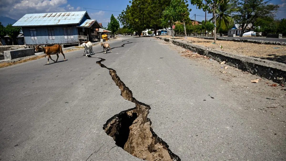 Pasca gempa NTT, XLSMART mempercepat pemulihan jaringan. Dari 91 BTS terdampak, kini tersisa sekitar 5 BTS dan layanan berangsur pulih. (JUNI KRISWANTO / AFP)