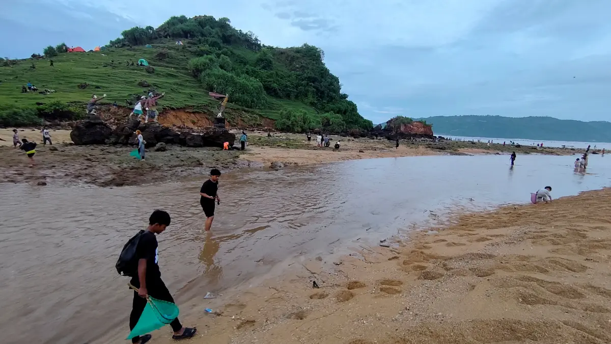 KELUHAN PUNGLI: Masyarakat lokal saat berburu cacing Nyale pada event Festival Pesona Bau Nyale di sekitar Pantai Seger, Desa Kuta, Pujut, Loteng, bulan Februari lalu. Media sosial dihebohkan dengan keluhan wisatawan soal dugaan pungli berkedok parkir dan retribusi di Bukit Seger.