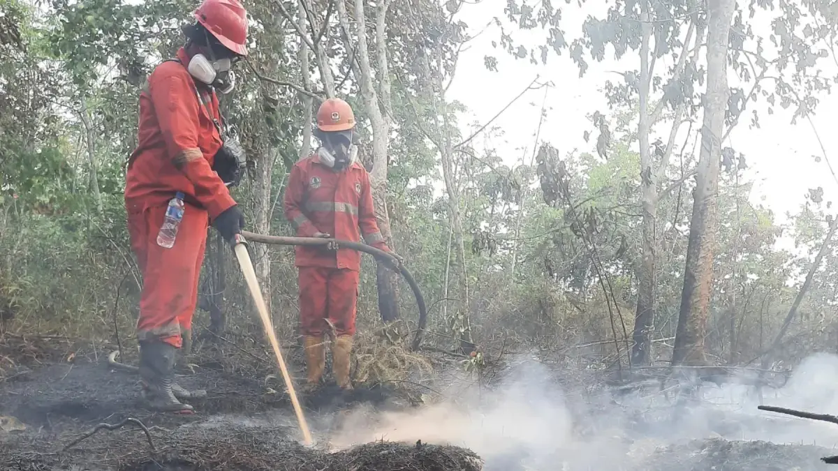 Petugas darat melakukan pembasahan pada lahan yang terbakar di Kalimantan, sebagai bagian dari penanganan karhutla. (Kemenhut)