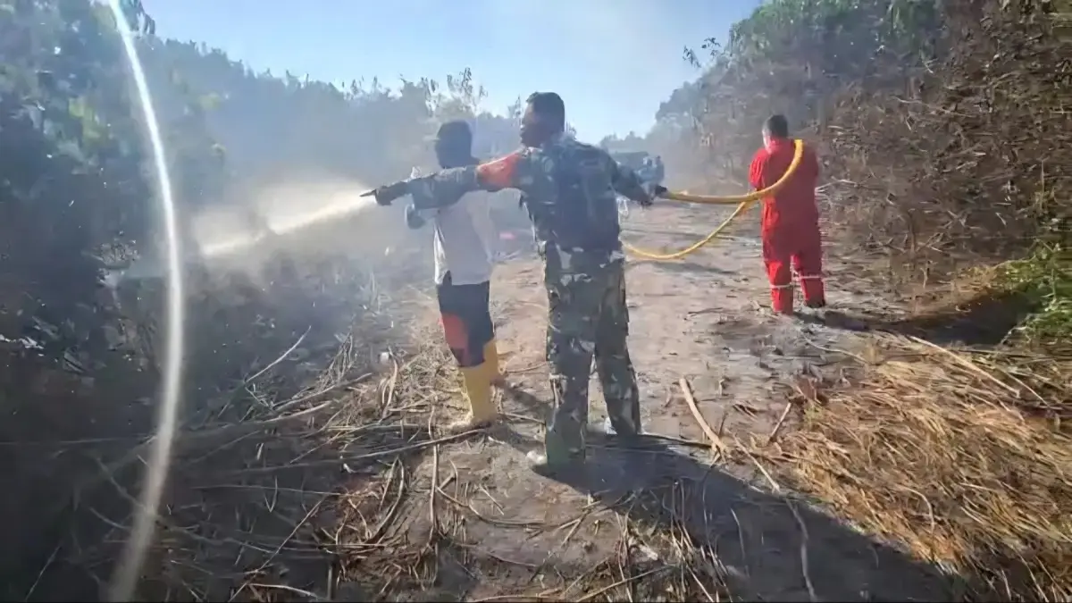 Petugas dari tim gabungan berupaya memadamkan kebakaran lahan di wilayah Kabupaten Penajam Paser Utara, Kalimantan Timur, Rabu (19/8/2026). (BPBD Penajam Paser Utara)