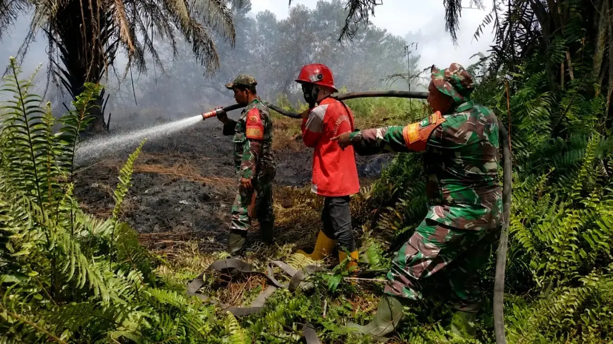 Prajurit TNI melakukan pemadaman karhutla. Saat ini puluhan ribu prajurit disiagakan dan belasan ribu telah dikerahkan untuk memadamkan api. (TNI)