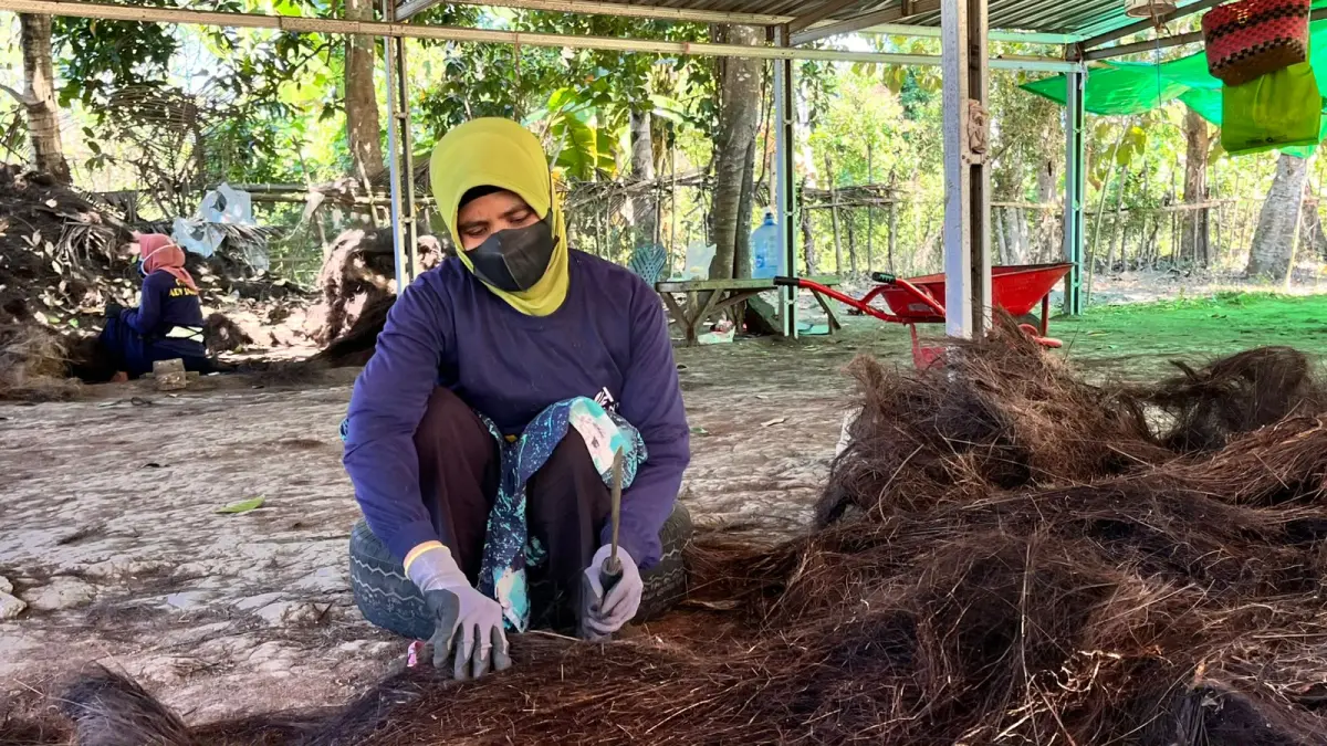 Eli Ekawati, salah satu pekerja penenun ijuk dari pohon aren saat bekerja menyatukan lembaran ijuk untuk kepentingan reklamasi AMMAN. Dari pekerjaannya ini, ia mengaku mendapat penghasilan cukup besar untuk kebutuhan dapur dan biaya pendidikan anak. &nbsp;
