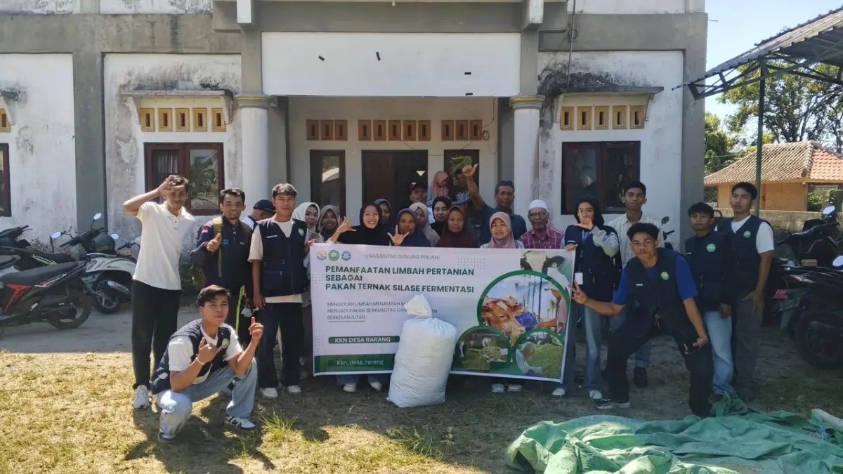 PRAKTIK SILASE: Mahasiswa KKN UGR XXVII bersama peternak mempraktikkan pembuatan pakan ternak silase dari limbah pertanian di Desa Rarang, Lombok Timur, kemarin. Pengolahan ini menjadi alternatif pakan yang dapat disimpan lebih lama.