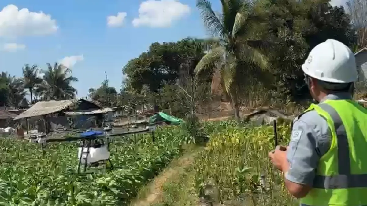 UJI COBA: Ketua Kelompok Tani Lingsir Bajang Empat Dusun Pengongsor, Desa Rarang, Kecamatan Terara, saat melakukan uji coba drone penyemprotan pestisida.