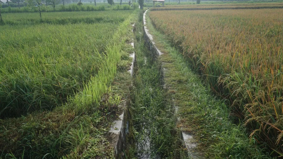 HARUS JADI ATENSI: Kondisi salah satu jaringan irigasi di NTB yang menjadi bagian penting, dalam mendukung ketersediaan air bagi lahan pertanian. (IVAN/LOMBOK POST)