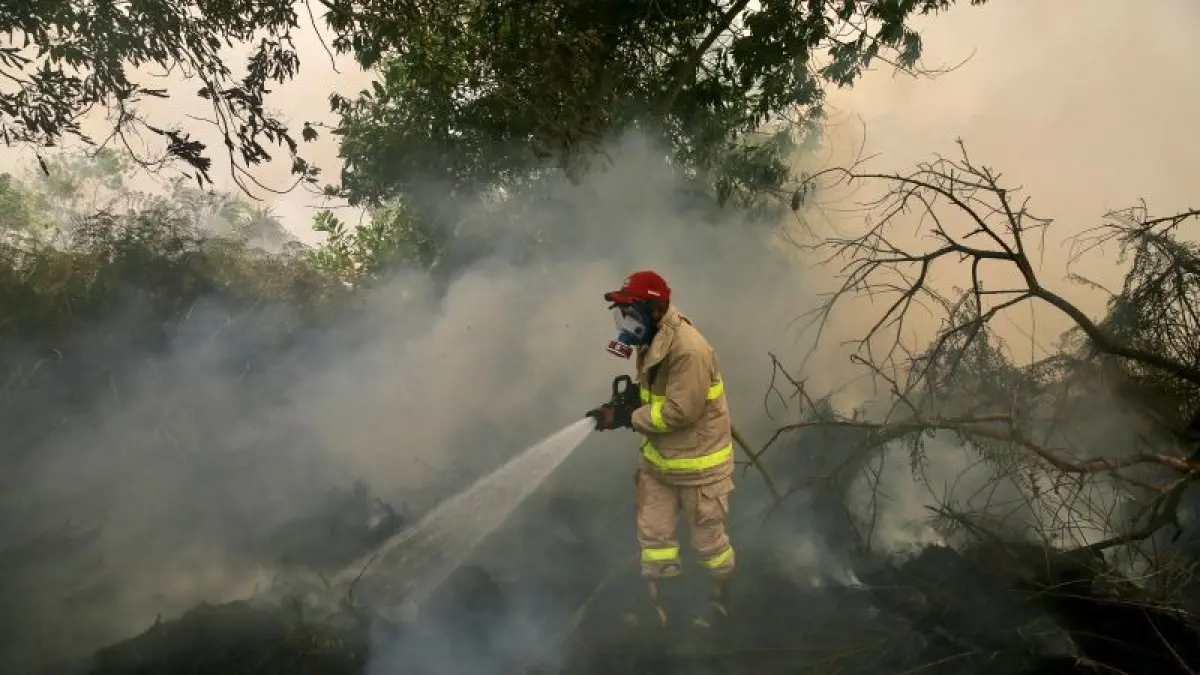Petugas gabungan melakukan pemadaman kebakaran hutan dan lahan untuk menekan titik api serta mencegah kabut asap semakin meluas.